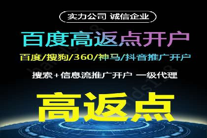 案例分析：SEM托管服务助力电商销量倍增